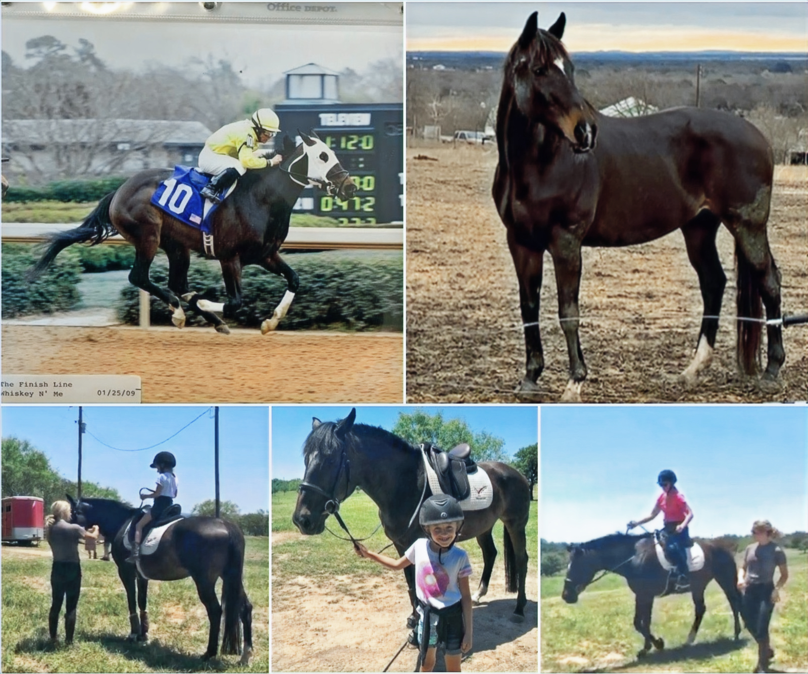 Equiatude Foundation photo collage