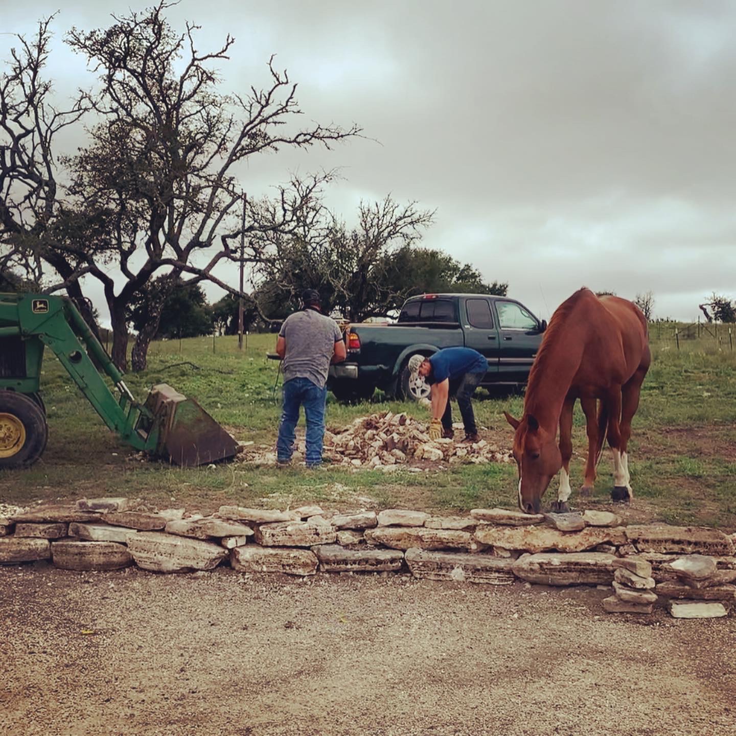 Volunteers working with an Equiatude horse