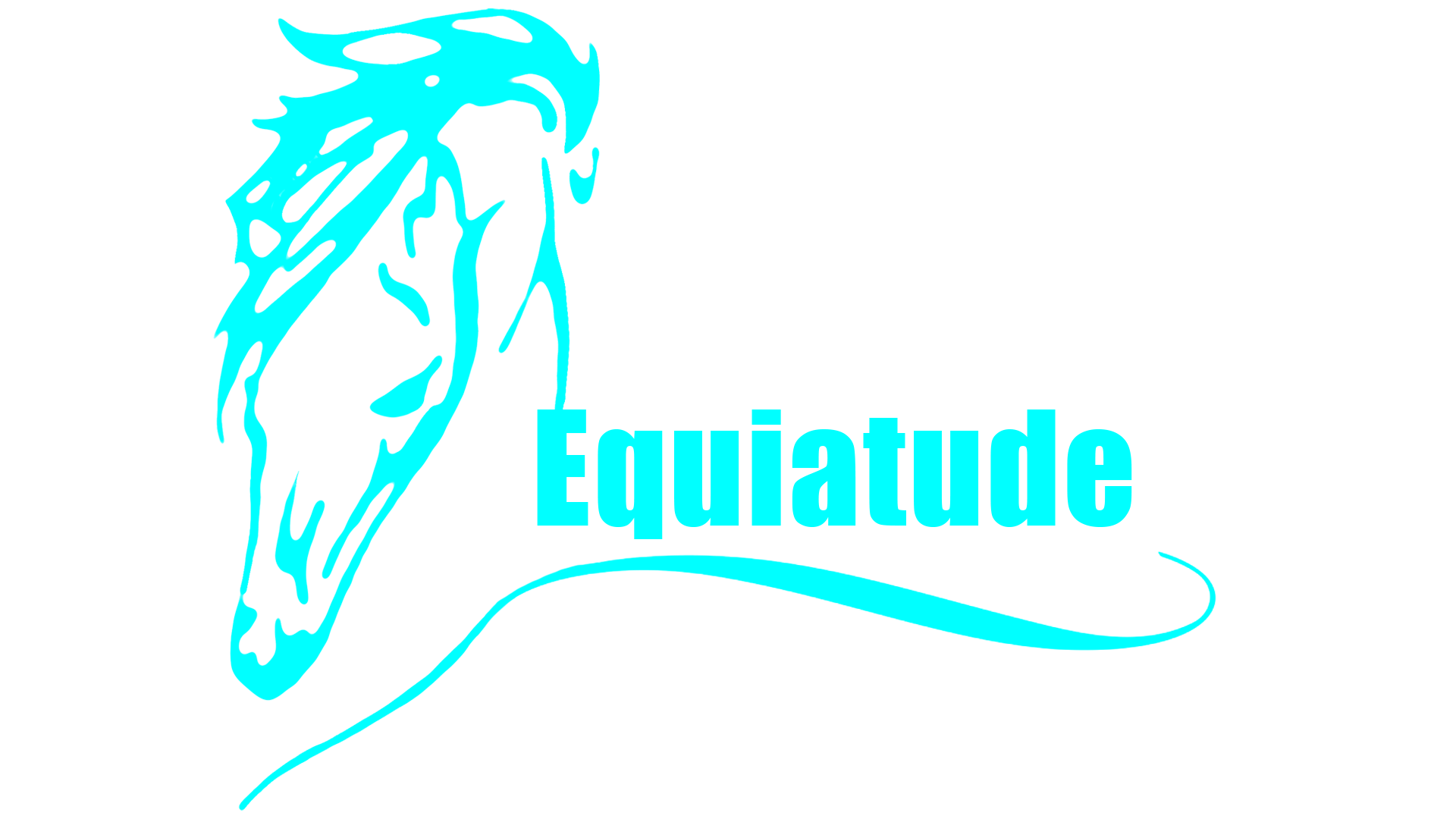 Equiatude Foundation logo